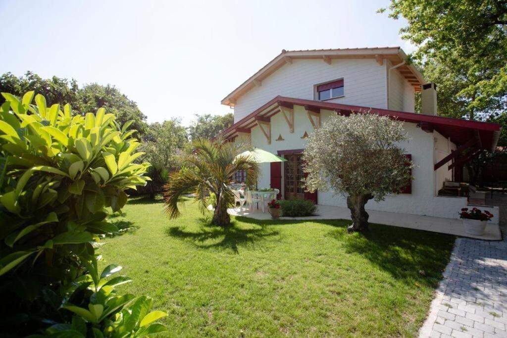 Villa Robert Shumann, A 700 M De La Plage Andernos-les-Bains Exteriör bild
