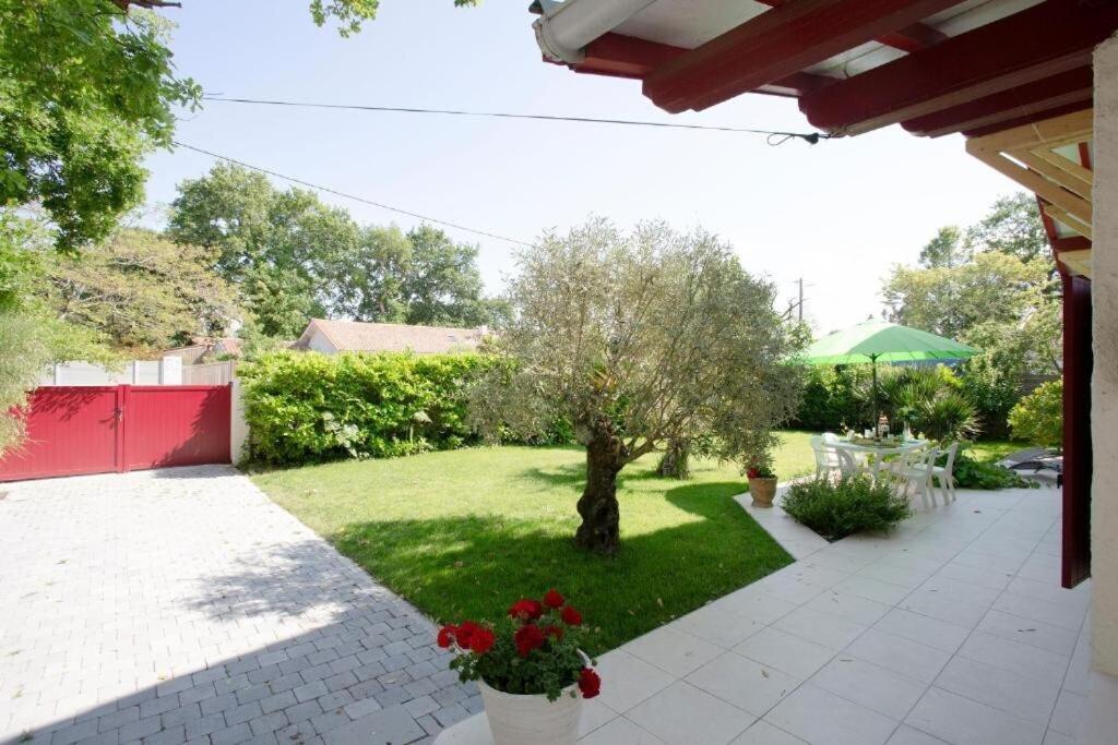 Villa Robert Shumann, A 700 M De La Plage Andernos-les-Bains Exteriör bild